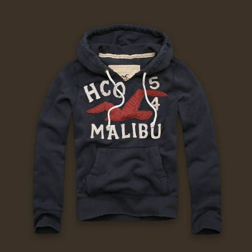 Hollister Hombres Outlet Capucha HCO4598